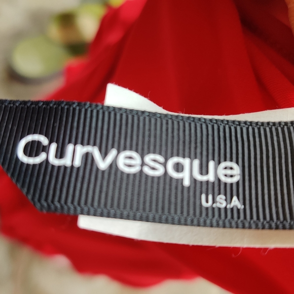 Curvesque Front Button Design Red Blouse NWOT - Picture 7 of 7